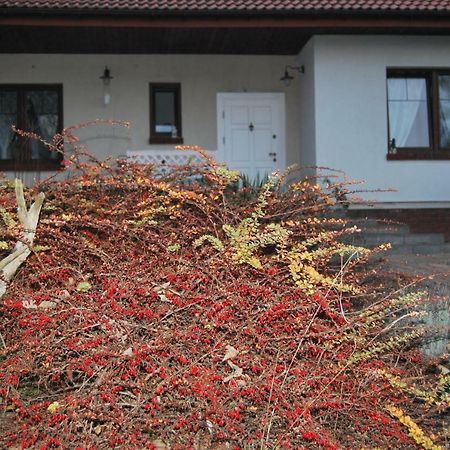 Pokoje Nad Mlynem Stryków Exterior foto