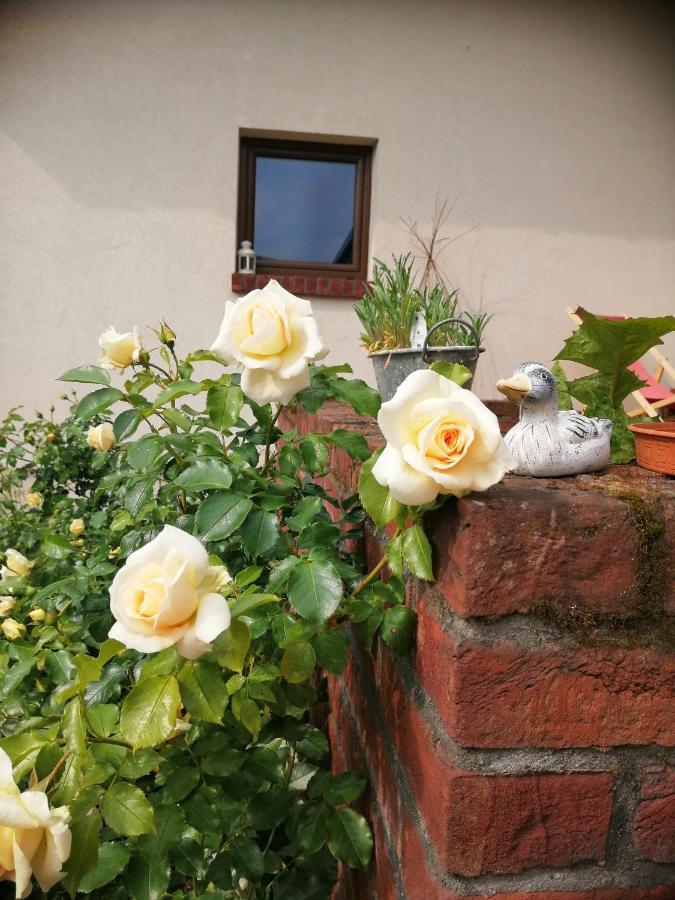Pokoje Nad Mlynem Stryków Exterior foto